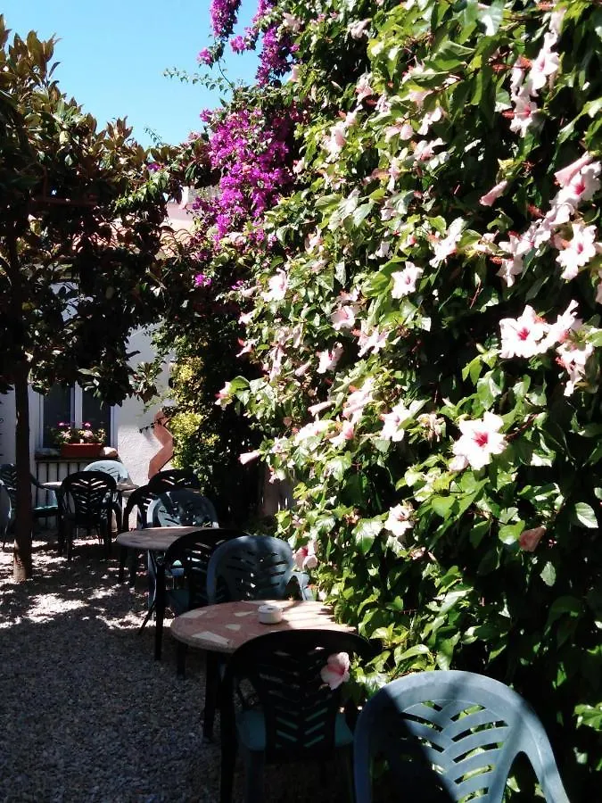 Hotel Mitus Canet De Mar